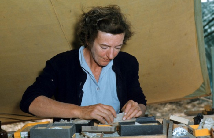 Mary Leakey, clasificando muestras