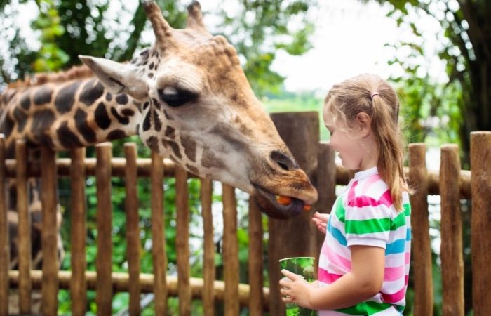 Bneficios de llevar a los niños al zoo