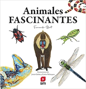 animales fascinantes