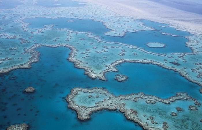 Gran Barrera de Coral australiana