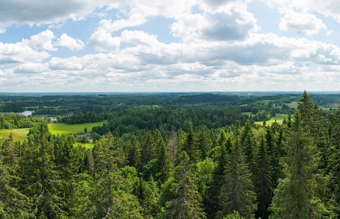 Curiosidades de Estonia, paisaje en Suur Munamagi