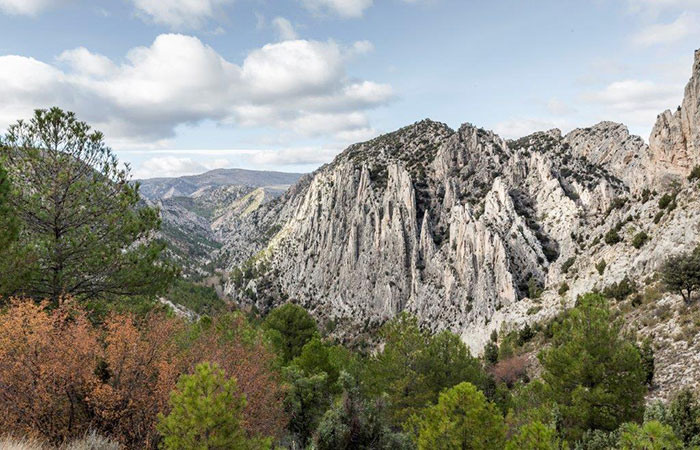 Monumento Natural de los Órganos de Montoro en Ejulve, Teruel
