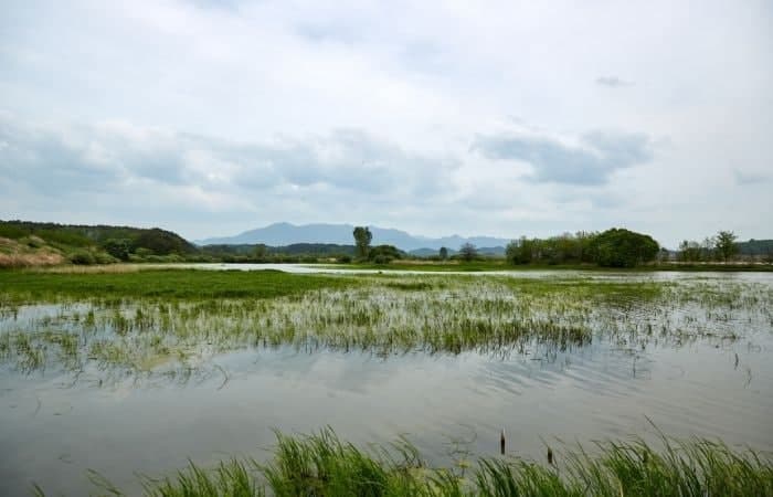 Ungok Wetland and Dolmen Site, Corea del Sur