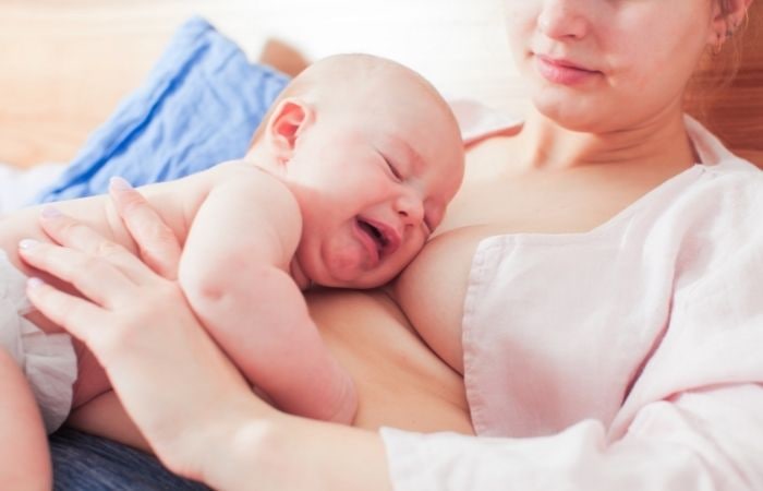 Hipogalactia: conviene poner al pecho al niño antes de que llore por hambre