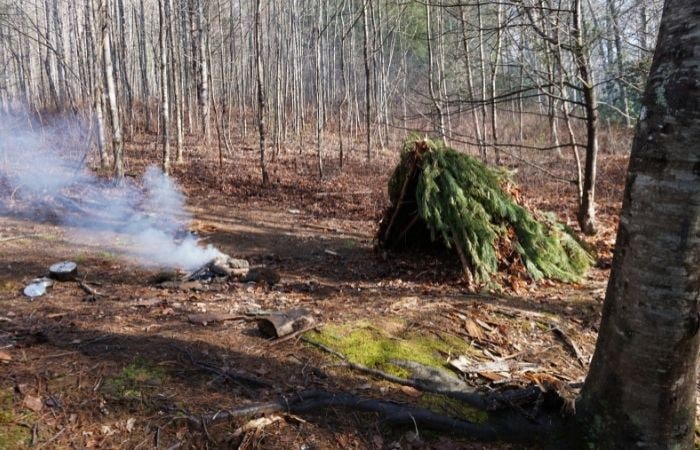 Preppers: refugio con ramas en  el bosque 