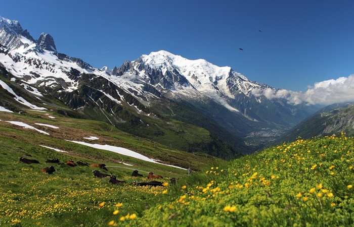 Las rutas de senderismo más espectaculares de Europa: Mont Blanc