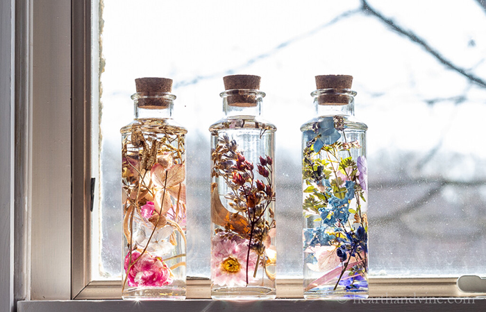 herbario japonés en botellas