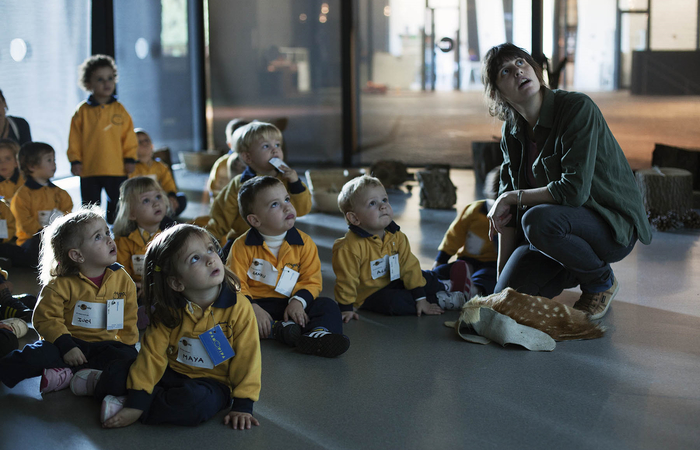 Actividades para niños y familias en el Museu de Ciències Naturals de Barcelona