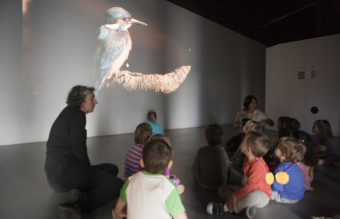 museu de les ciències naturales de barcelona: nido de ciencia familiar