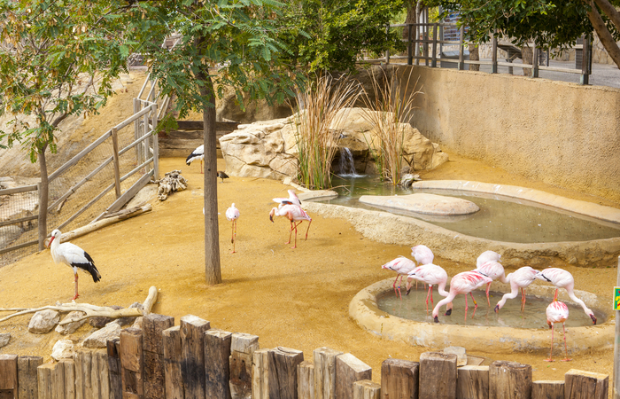 zoo tabernas