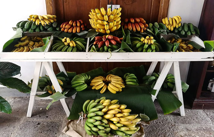 Variedad de plátanos Casa del Plátano en Icod de los Vinos, Tenerife