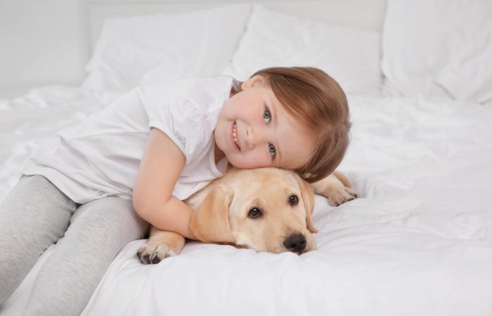 custodia de la mascota en caso de divorcio o separación cuando hay niños