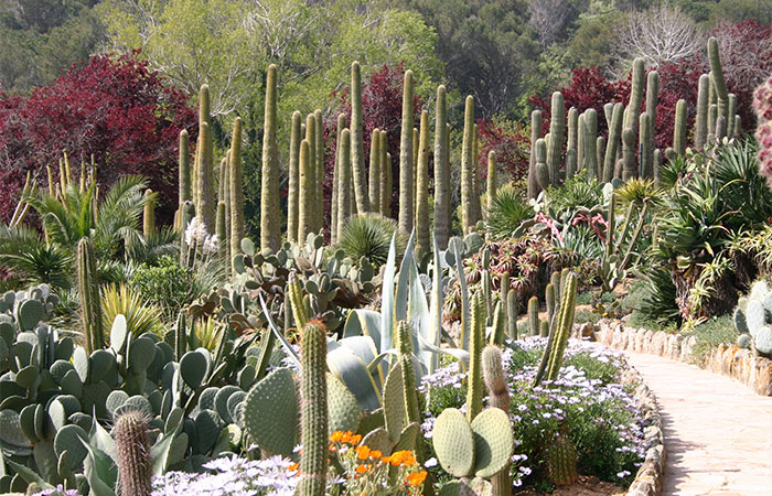 Jardín botánico tropical Pinya de Rosa