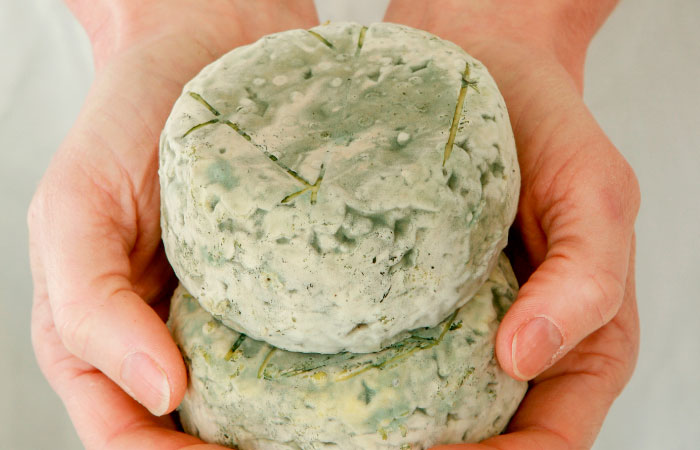 queso productos artesanos comida sostenible