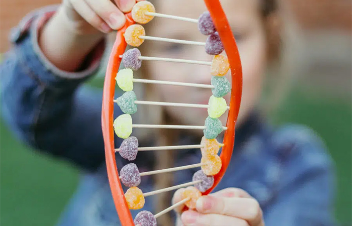 cadena ADN hecha con chuches