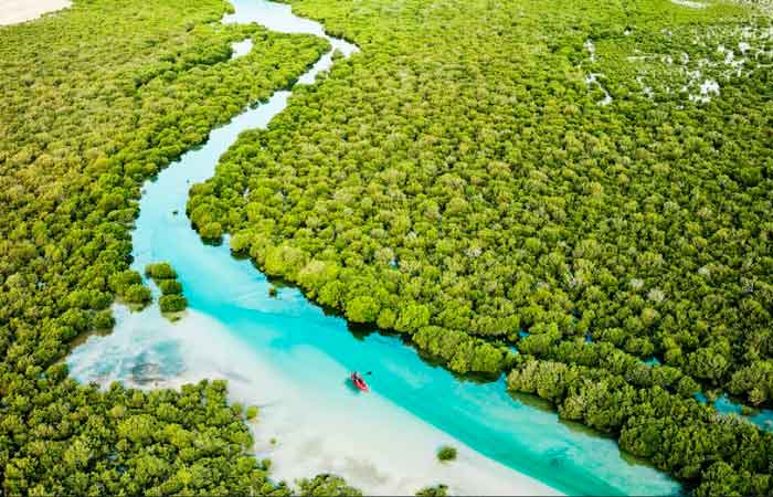 kayak qatar al thakira manglares