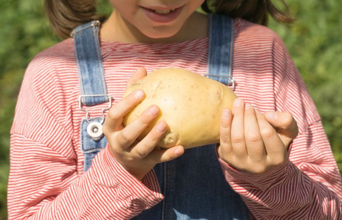 Fiesta de la patata, un plan divertidísimo para toda la familia