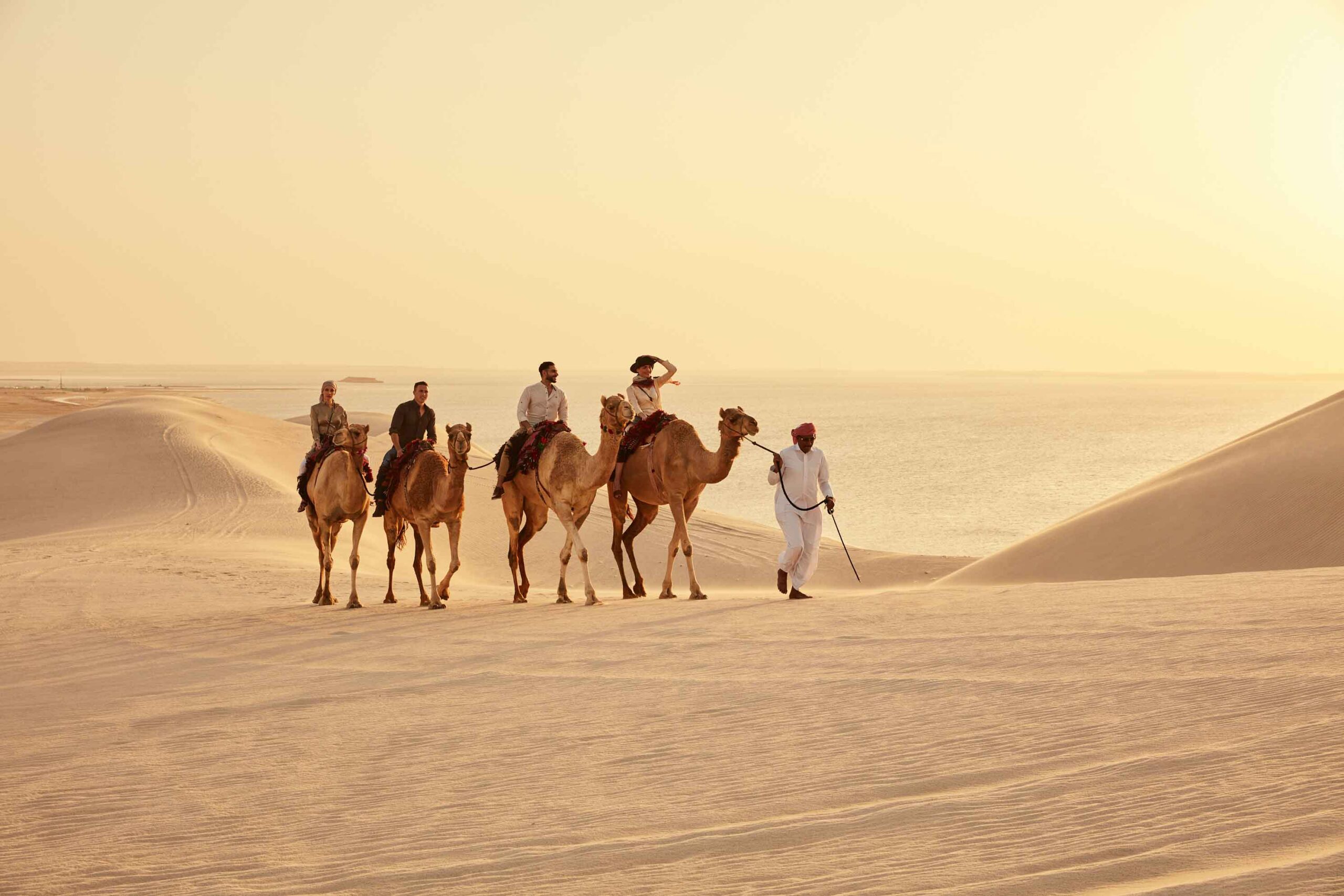Inland Sea camellos dromedarios paseos desierto