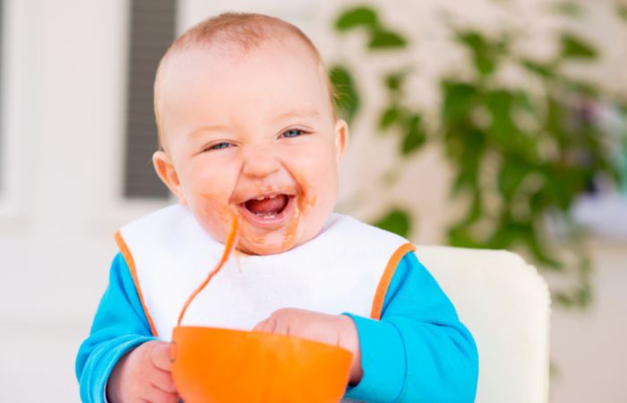 Alimentación complementaria de los bebés