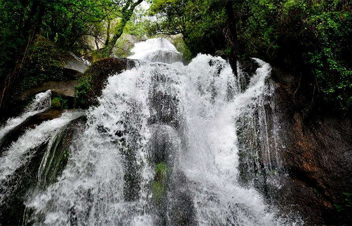 Navaconcejo , Valle del Jerte: Garganta de las Nogaledas