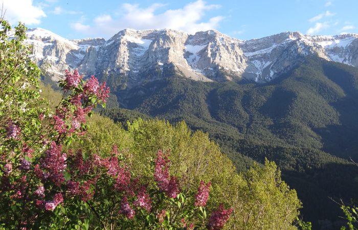 Parque Natural Cadí-Moixeró