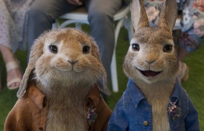 Peter Rabbit: Conejo en fuga