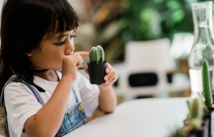 Añade plantas al cuarto de juegos Montessori