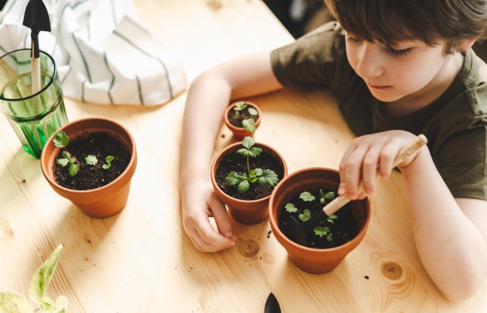 Ideas de jardinería Montessori