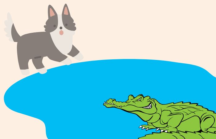 fábulas con moraleja: El perro y el cocodrilo