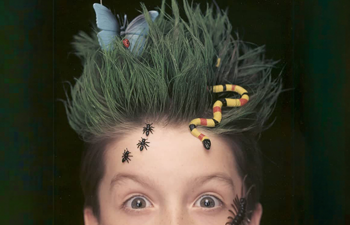 peinado con insectos