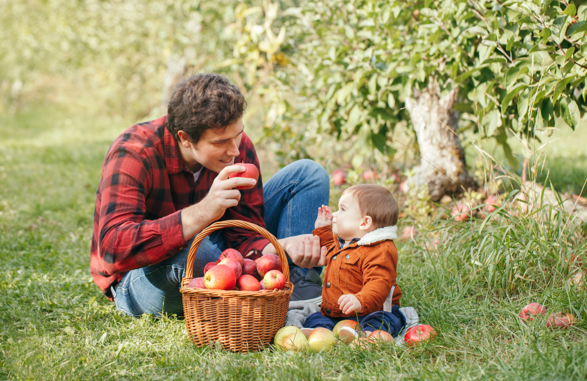 Trabajar el otoño en el aula de infantil: frutas de temporada, como la manzana