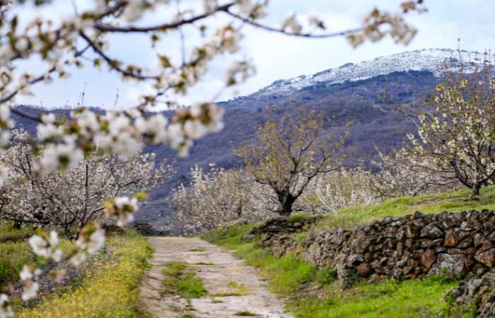 Rutas para disfrutar del Valle del Jerte en primavera