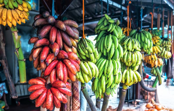 banana market india madurai
