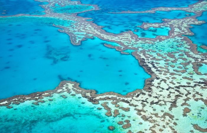 arrecifes de coral del mundo Gran Barrera de Coral
