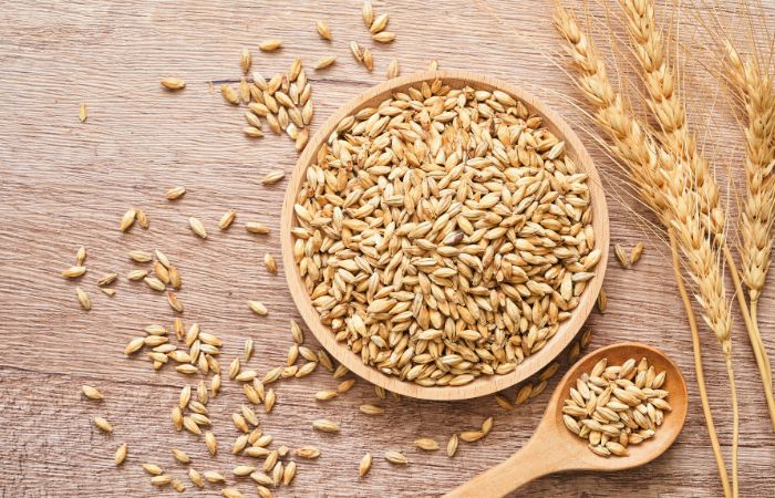 Dieta Paleo: cereales como la cebada