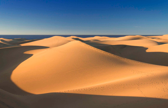 Turismo responsable en las Islas Canarias: proteger las dunas
