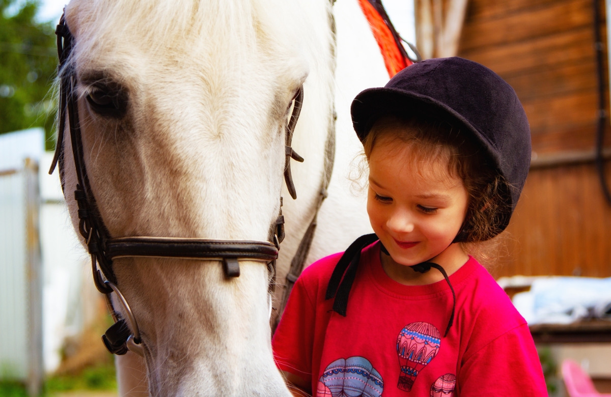 niño cuidando a su caballo